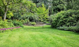 Conseils pour entretenir son jardin et créer un espace extérieur harmonieux