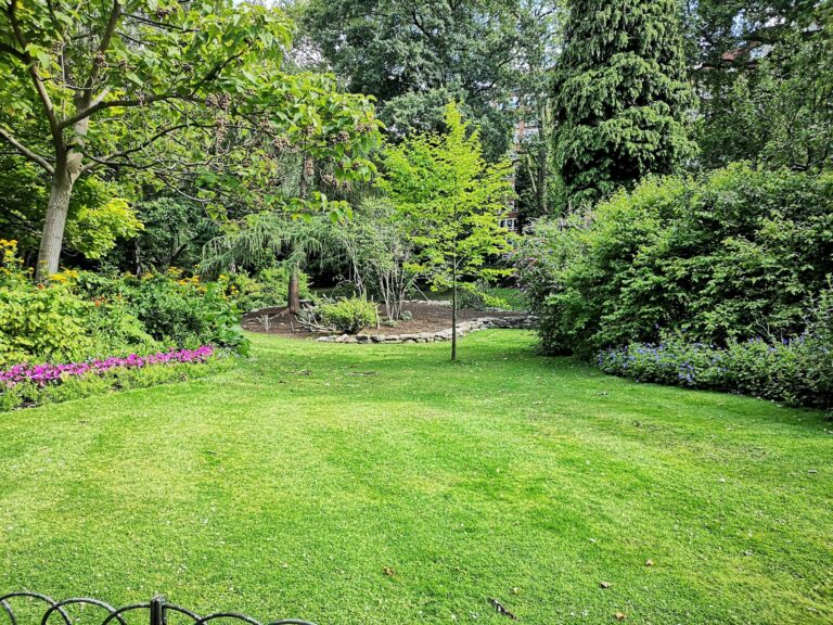 Lire la suite à propos de l’article Conseils pour entretenir son jardin et créer un espace extérieur harmonieux