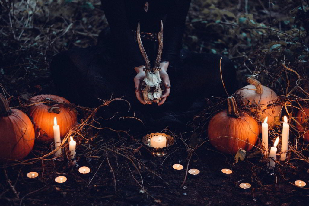 Lire la suite à propos de l’article Comment décorez votre jardin pour Halloween ?